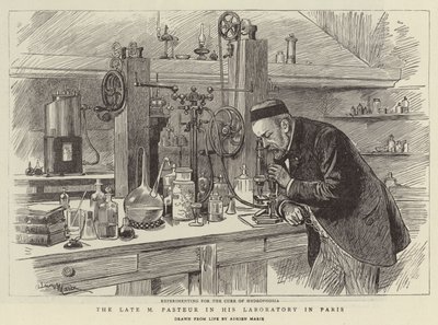 El difunto M Pasteur en su laboratorio en París de Adrien Emmanuel Marie